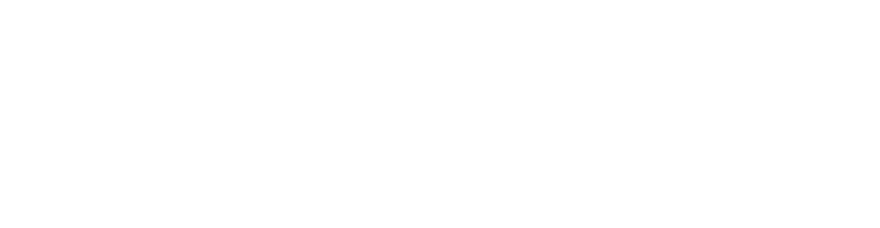 Devbhoomi Infotech Logo